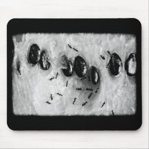 surfende Ameisen Mousepad