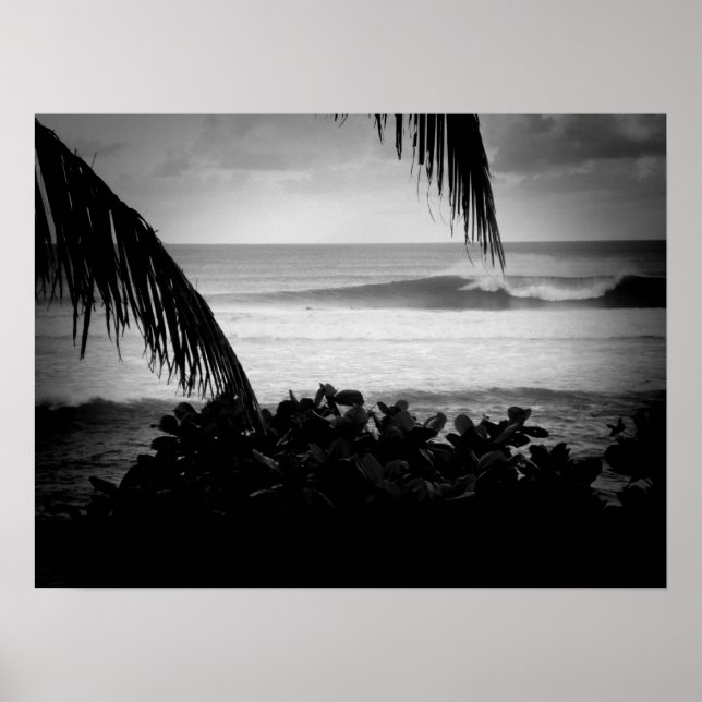 Surfer, die B&W Poster (Vorne)