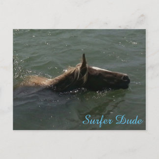 Surfer Typ Postkarte