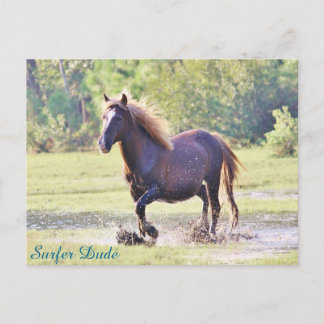 Surfer Typ Wading Postkarte