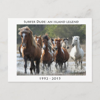 Surfer und seine Band Postkarte