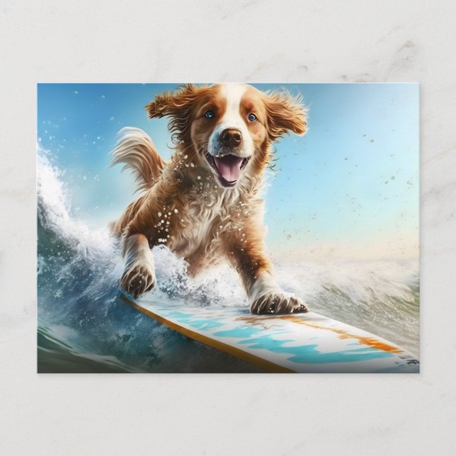 Surfhund Postkarte (Vorderseite)