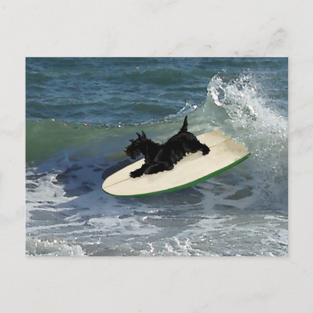 Surfing Scottish Terrier Postkarte (Vorderseite)