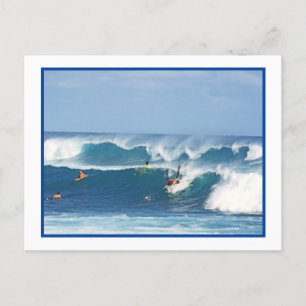 "SURF'S UP/ KAUAI POSTCARD POSTKARTE