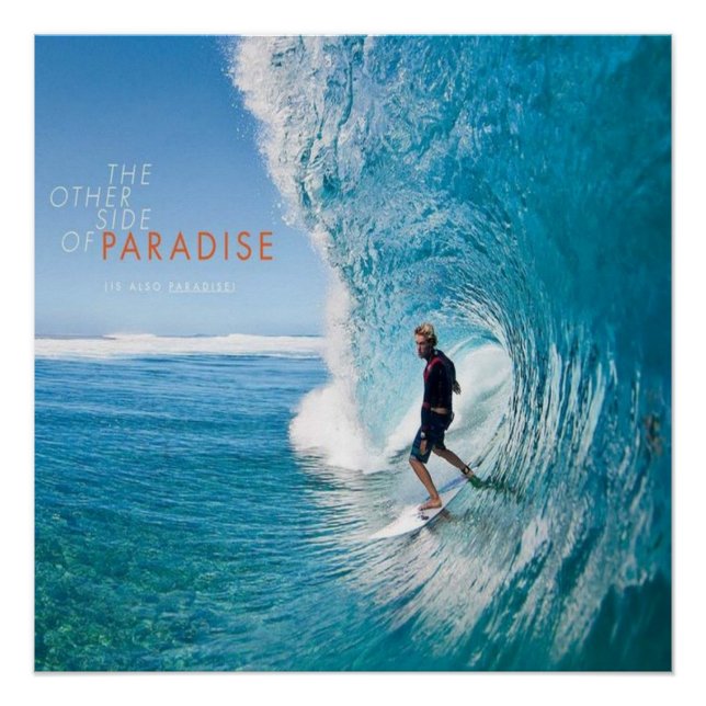 Surfsurfer Poster (Vorderseite)