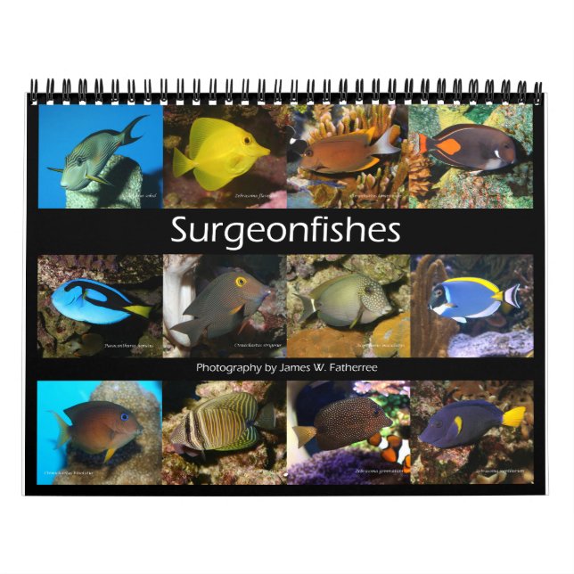 Surgeonfish Wall Calendar von J.W. Vater. Kalender (Titelbild)