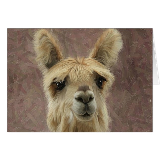 Suri Alpaca (Vorderseite (Horizontal))