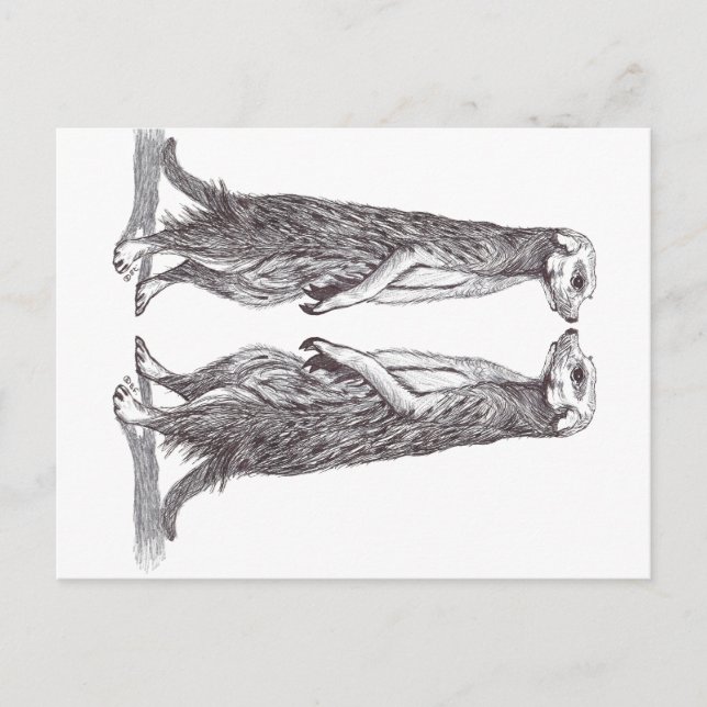 SURICATA LOVE. MEERKAT LOVE. FEIERTAGSPOSTKARTE (Vorderseite)