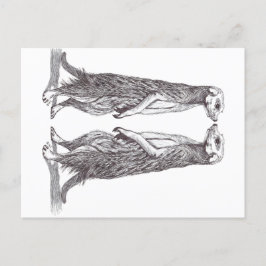 SURICATA LOVE. MEERKAT LOVE. POSTKARTE
