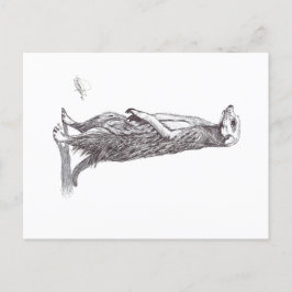 SURICATA. MEERKAT POSTKARTE
