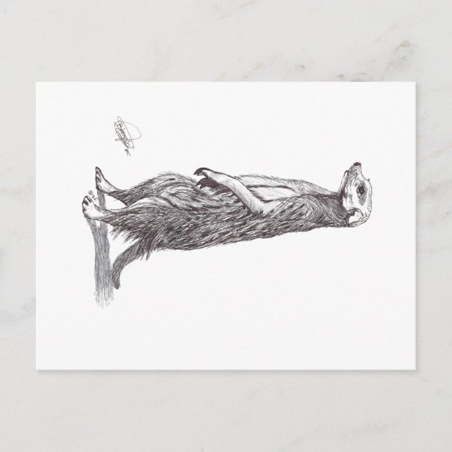 SURICATA. MEERKAT POSTKARTE (Vorderseite)