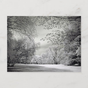 Surreal falsche Farbe Infrarot Federlandschaft. Postkarte