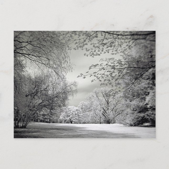 Surreal falsche Farbe Infrarot Federlandschaft. Postkarte (Vorderseite)