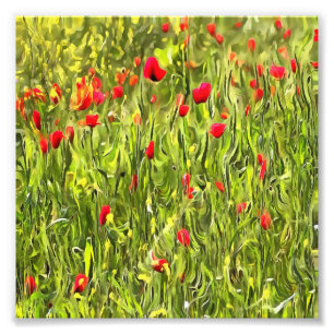 Surreal Hypnotic Poppies Fotodruck