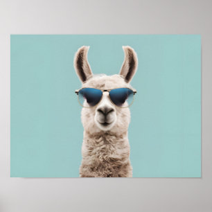 Surreal Llama mit Sonnenbrille auf pastellfarbenem Poster