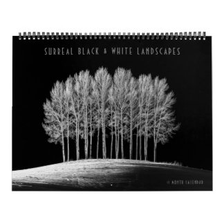 Surreal Schwarz & Weiß Landschaften Kalender