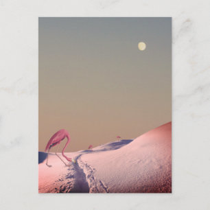 Surreale Flamingos im Schnee Postkarte