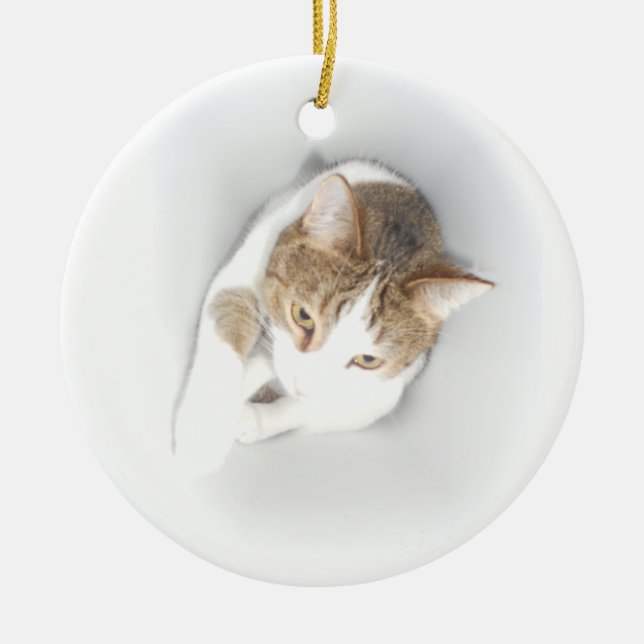 Surreale Katze im Licht Keramik Ornament (Vorne)