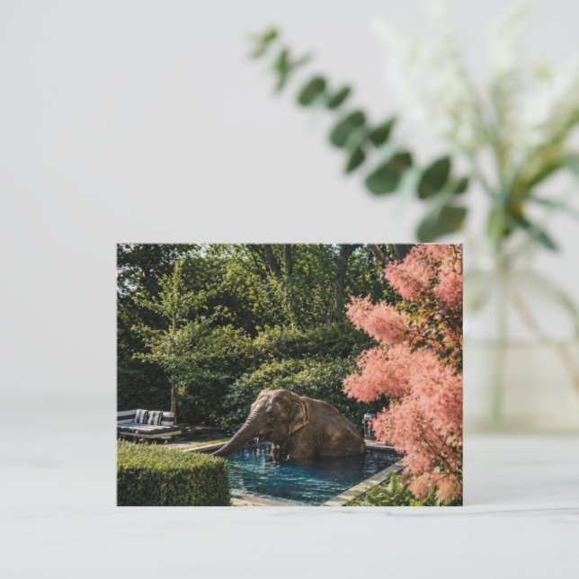 Surrealer schöner Elefant im Pool Postkarte (Stehend Vorderseite)