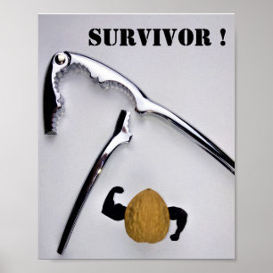 Survivor ! poster