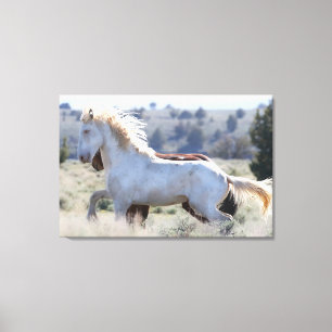 Survivor Wrapped Canvas Leinwanddruck