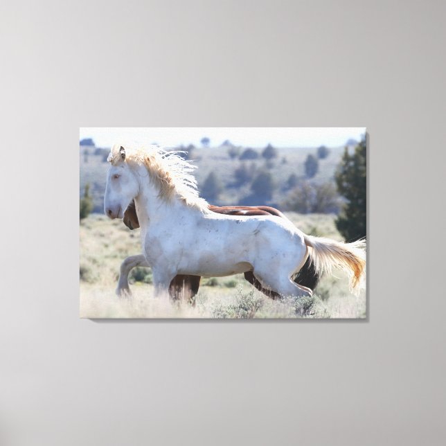 Survivor Wrapped Canvas Leinwanddruck (Vorderseite)