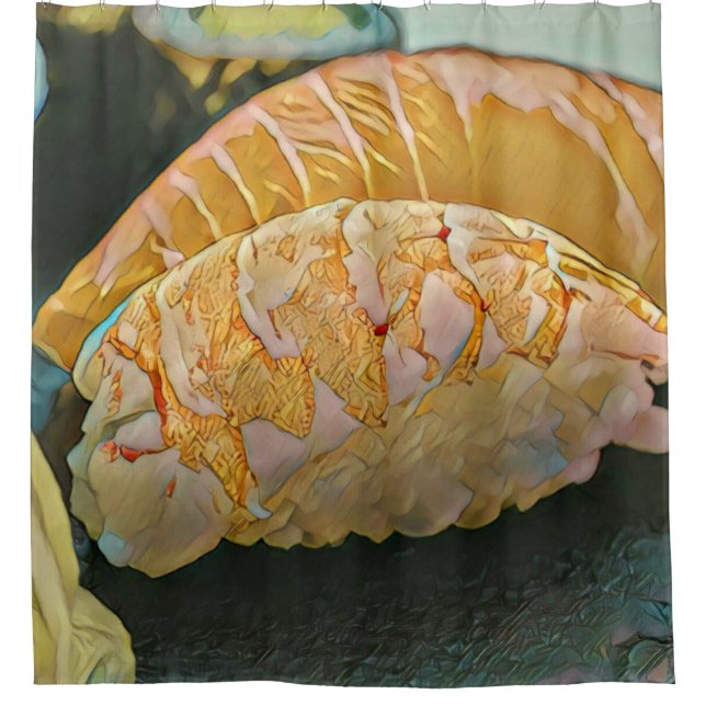 Sushi-Liebesgeschenk Duschvorhang (Vorderseite)