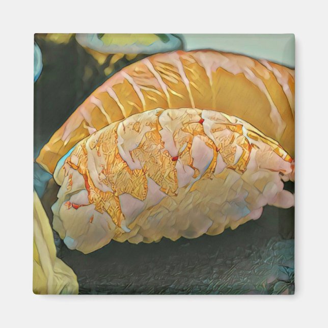 Sushi-Liebesgeschenk Magnet (Vorne)