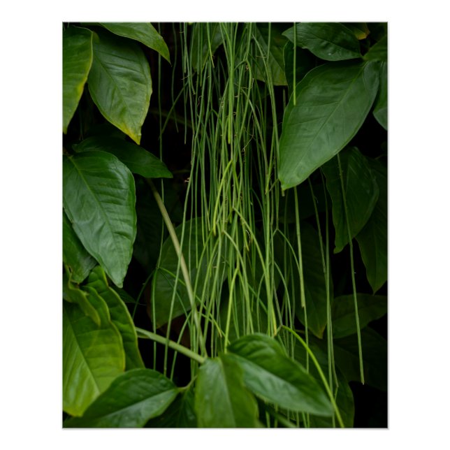 Suspended Nature Poster (Vorderseite)