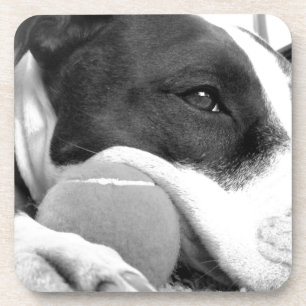 süß aussehender trauriger Pitbull-Hund schwarz wei Untersetzer