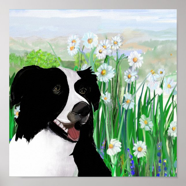 Süß, Border Collie Gänseblümchen Wandkunst Poster (Vorne)