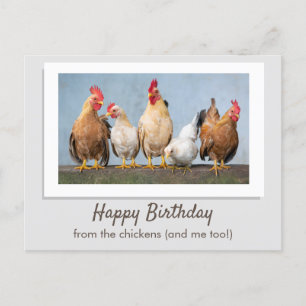 Süß Grau Alles Gute zum Geburtstag von den Hühnern Postkarte