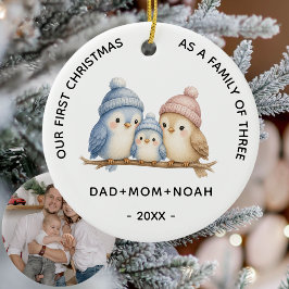 Süße 3 Vögel Familie Erstes Weihnachtsfoto Keramik Ornament