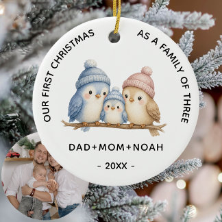Süße 3 Vögel Familie Erstes Weihnachtsfoto Keramik Ornament