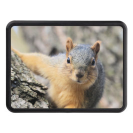 Süsse Abschlepphaken Cover