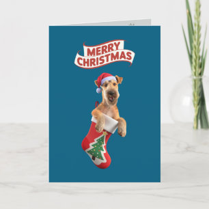 Süße Airedale-Weihnachtskarte Feiertagskarte