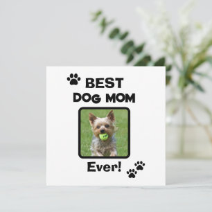 Süße Anpassung beste Haustier Hund Katze Mama Mutt