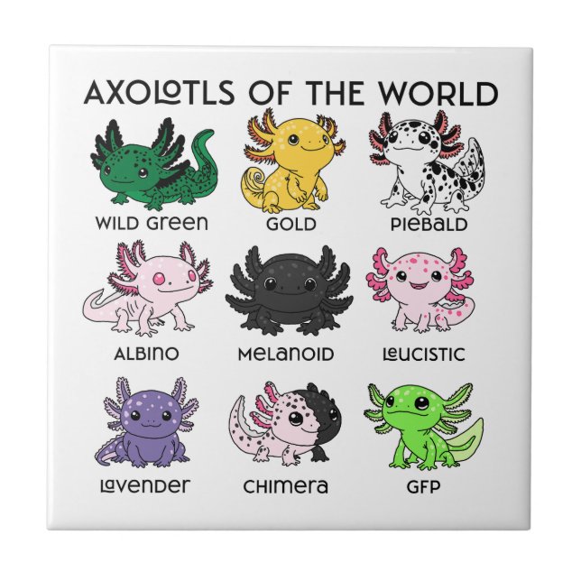Süße Axolotl der Welt Fliese (Vorderseite)