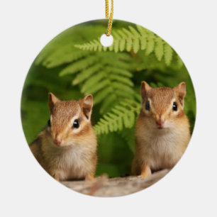 Süße Babychipmunk-Geschwister Keramik Ornament
