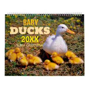 Süße Babyenten 2027 Wandkalender