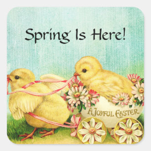 Süße Babyküken Ostern Vintage Text hinzufügen Quadratischer Aufkleber