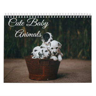Süße Babytier-Kalender Kalender
