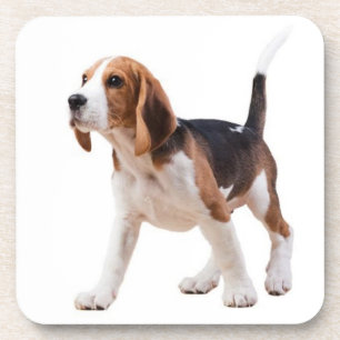 Süße Beagle-Mutter-Hundliebhaber-Welpen-Vater-Welp Getränkeuntersetzer