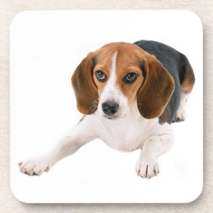 Süße Beagle-Mutter-Hundliebhaber-Welpen-Vater-Welp Getränkeuntersetzer