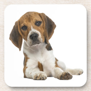 Süße Beagle-Mutter-Hundliebhaber-Welpen-Vater-Welp Getränkeuntersetzer