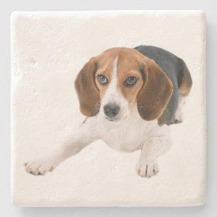 Süße Beagle-Mutter-Hundliebhaber-Welpen-Vater-Welp Steinuntersetzer