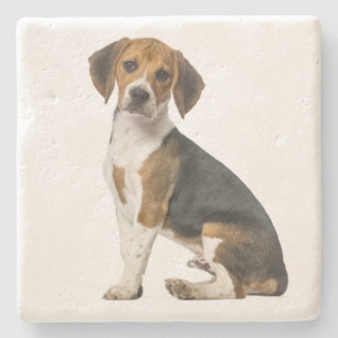 Süße Beagle-Mutter-Hundliebhaber-Welpen-Vater-Welp Steinuntersetzer