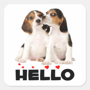 Süße Beagle-Welpenliebe Hallo Ich denke an dich  Quadratischer Aufkleber