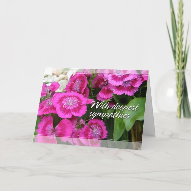 Süße Beileids-Karten Williams (Dianthus) Karte (Vorderseite)