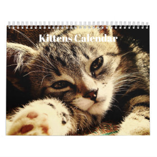 Süße Bengal-Kätzchen 2027 Kalender